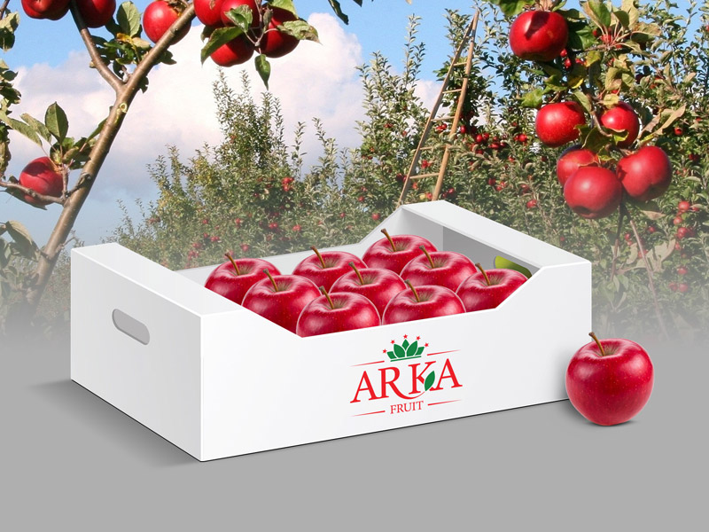 ما همواره بدنبال بازار ها و کشور های جدید بهمراه افزایش تناژ ارسالی با حفظ کیفیت محصول هستیم تا محصول میوه ایرانی را به بازارهای جهانی عرضه داریم