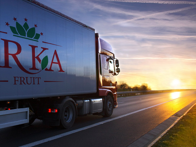 درصورت هرگونه درخواست صادرات یا همکاری فرم استعلام آنلاین را پر کنید تا کارشناسان آرکا با شما تماس حاصل کنند.