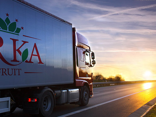 درصورت هرگونه درخواست صادرات یا همکاری فرم استعلام آنلاین را پر کنید تا کارشناسان آرکا با شما تماس حاصل کنند.